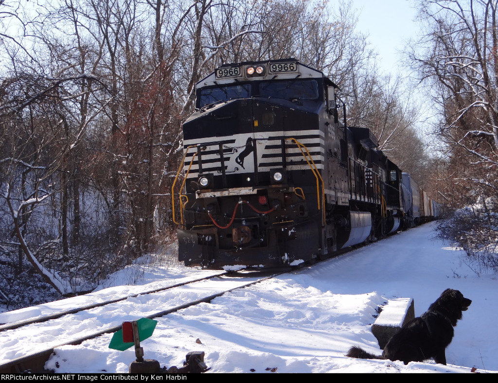 NS 9966 at CP Jake